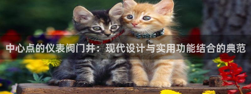 九游老哥会
