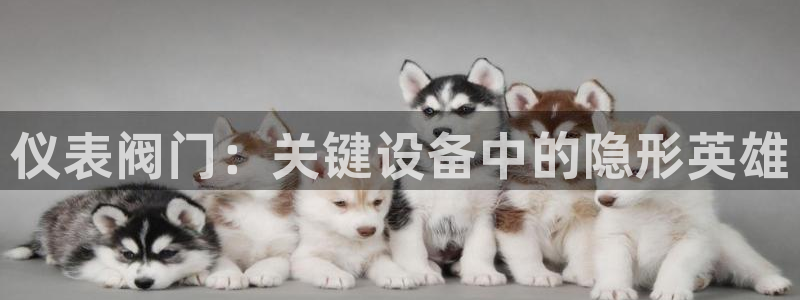 ag九游会国际站官网登录首页