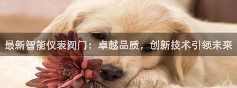 九游会亚洲公司