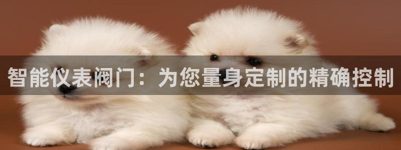 j9九游会官网ag登录