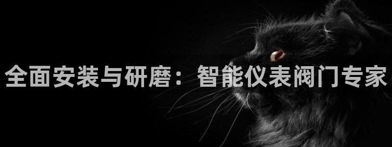 九游会老板是谁