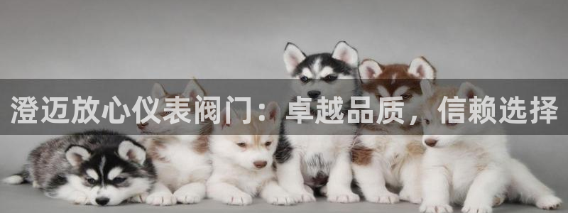 九游会官网登录首页入口