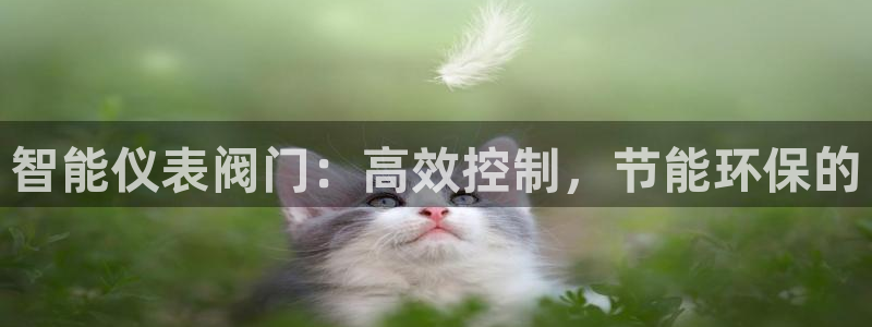 九游会手机app下载