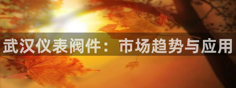 九游会网址平台怎么样