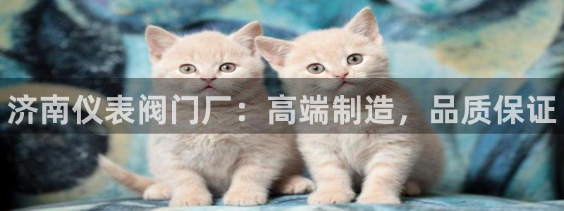 九游会跟ag是啥关系