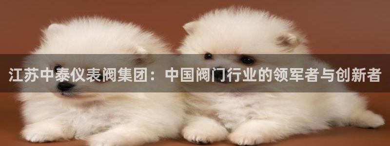 九游会无法登录游戏吗