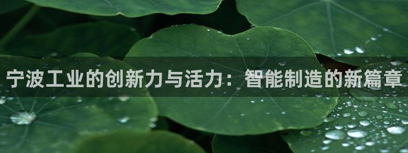 九游会官网网页版下载