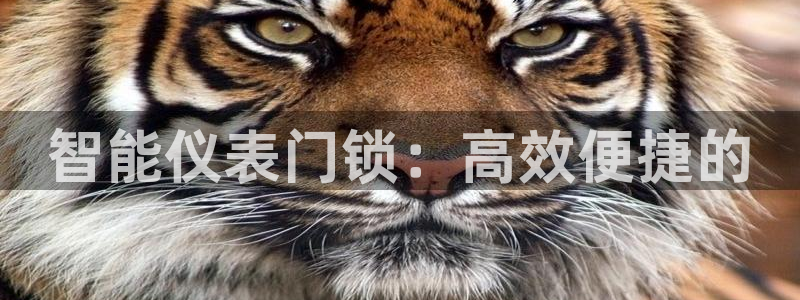 九游会旧版网址